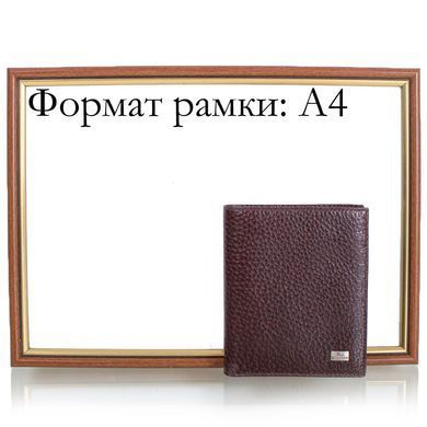 Портмоне мужское кожаное DESISAN SHI112-019-10FL