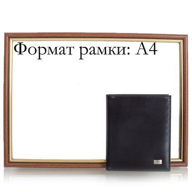 Портмоне чоловіче шкіряне DESISAN SHI112-019-10FL