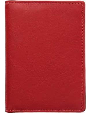Візитниця шкіряна Visconti TC1 - Polo