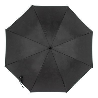 Зонт-трость женский полуавтомат Fulton Bloomsbury-2 L754 Black, flowers (Черный, цветы)
