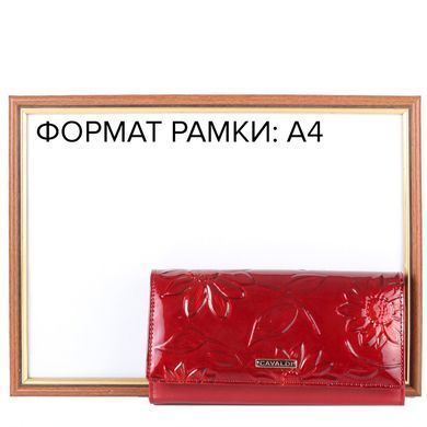Кошелек женский кожаный CAVALDI DNKPN27
